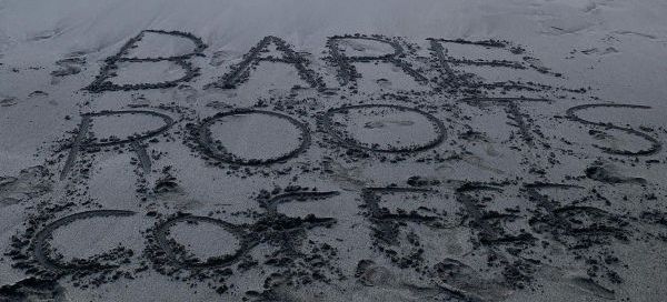 Bare Roots Coffee name written in sand – a nod to nature and simplicity