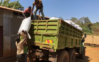 Workers loading large coffee sacks into a green truck at an Ethiopian coffee cooperative supported by Kith+Kin.