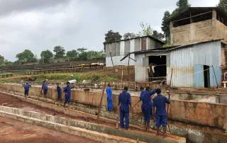 Coffee workers in blue uniforms managing a washing station in Ethiopia, part of Kith+Kin’s supply chain.
