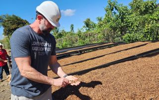 kith-kin-coffee-inspection-drying-beds-costa-rica-farm-visit-unsung-roasters. A man inspects drying coffee beans at a Costa Rican coffee farm under bright blue skies.v