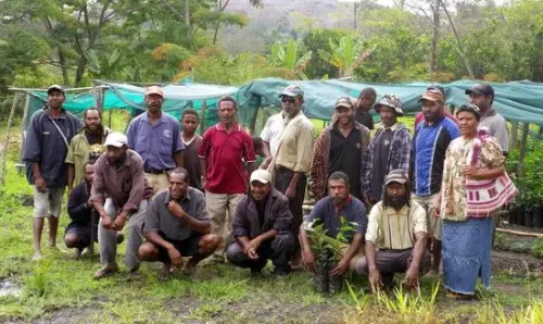 Group of Papua New Guinea coffee farmers from a local cooperative standing together on a lush farm.