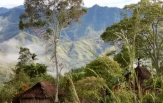 kith-kin-papua-new-guinea-highland-village-coffee-origins-unsung-roasters. Traditional huts nestled in the Papua New Guinea highlands with lush green mountains in the background.