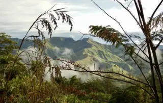kith-kin-papua-new-guinea-mountain-coffee-growing-region-unsung-roasters. Mountain view of Papua New Guinea’s lush coffee-growing region with mist and vegetation.